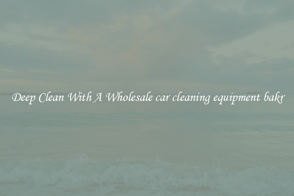Deep Clean With A Wholesale car cleaning equipment bakr