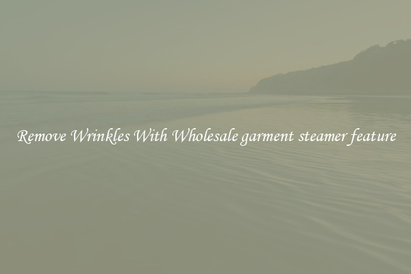 Remove Wrinkles With Wholesale garment steamer feature