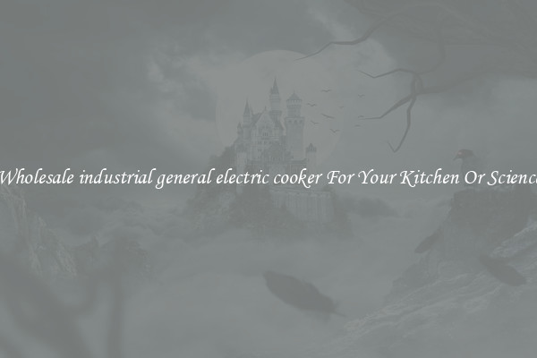 Wholesale industrial general electric cooker For Your Kitchen Or Science