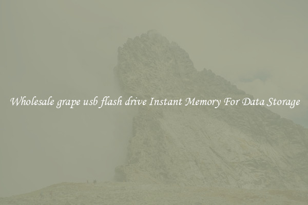 Wholesale grape usb flash drive Instant Memory For Data Storage