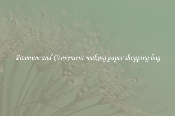 Premium and Convenient making paper shopping bag