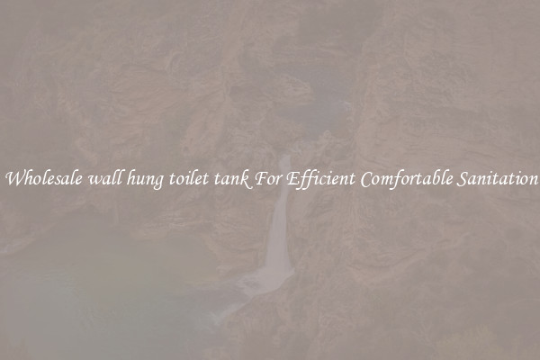 Wholesale wall hung toilet tank For Efficient Comfortable Sanitation