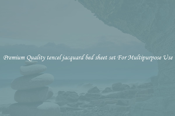 Premium Quality tencel jacquard bed sheet set For Multipurpose Use