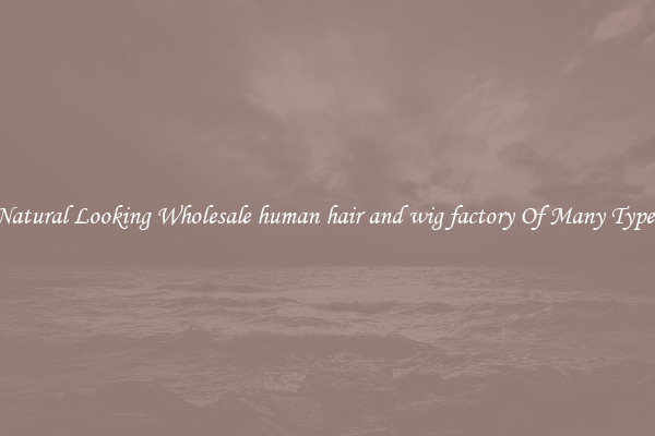Natural Looking Wholesale human hair and wig factory Of Many Types