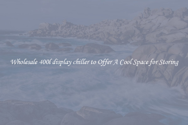 Wholesale 400l display chiller to Offer A Cool Space for Storing