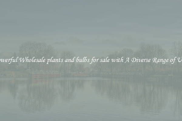 Powerful Wholesale plants and bulbs for sale with A Diverse Range of Uses