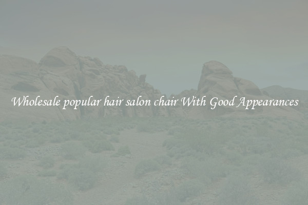 Wholesale popular hair salon chair With Good Appearances