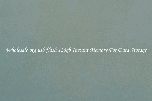 Wholesale otg usb flash 128gb Instant Memory For Data Storage