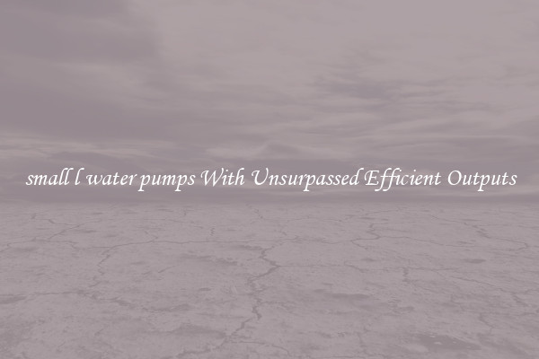 small l water pumps With Unsurpassed Efficient Outputs