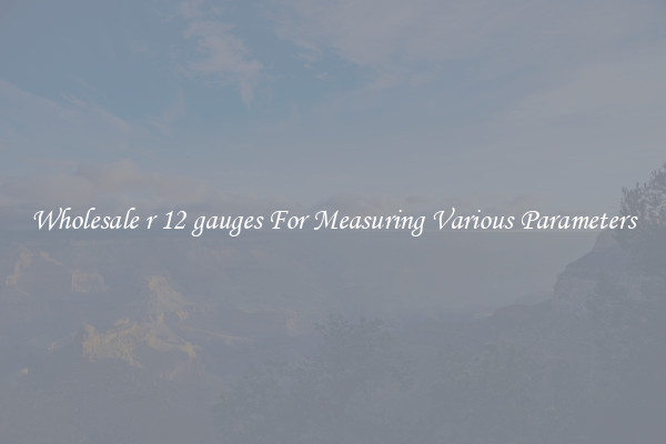 Wholesale r 12 gauges For Measuring Various Parameters
