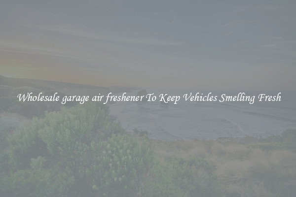 Wholesale garage air freshener To Keep Vehicles Smelling Fresh