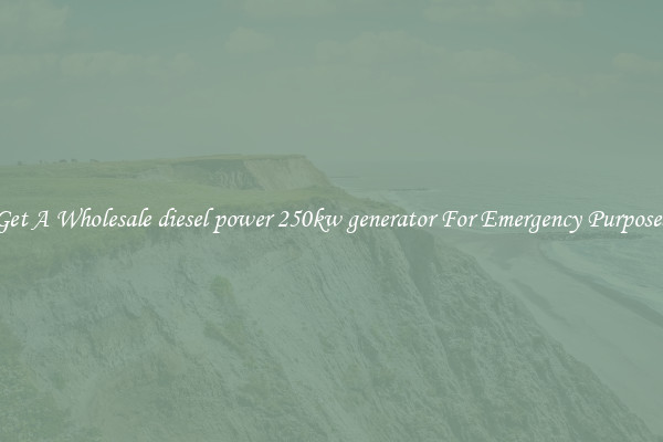 Get A Wholesale diesel power 250kw generator For Emergency Purposes