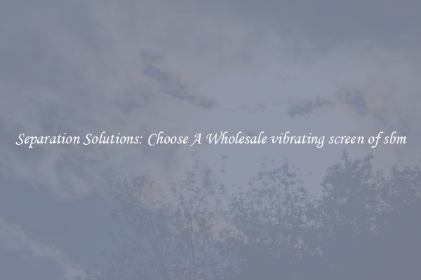 Separation Solutions: Choose A Wholesale vibrating screen of sbm