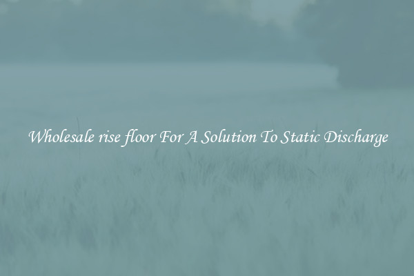 Wholesale rise floor For A Solution To Static Discharge